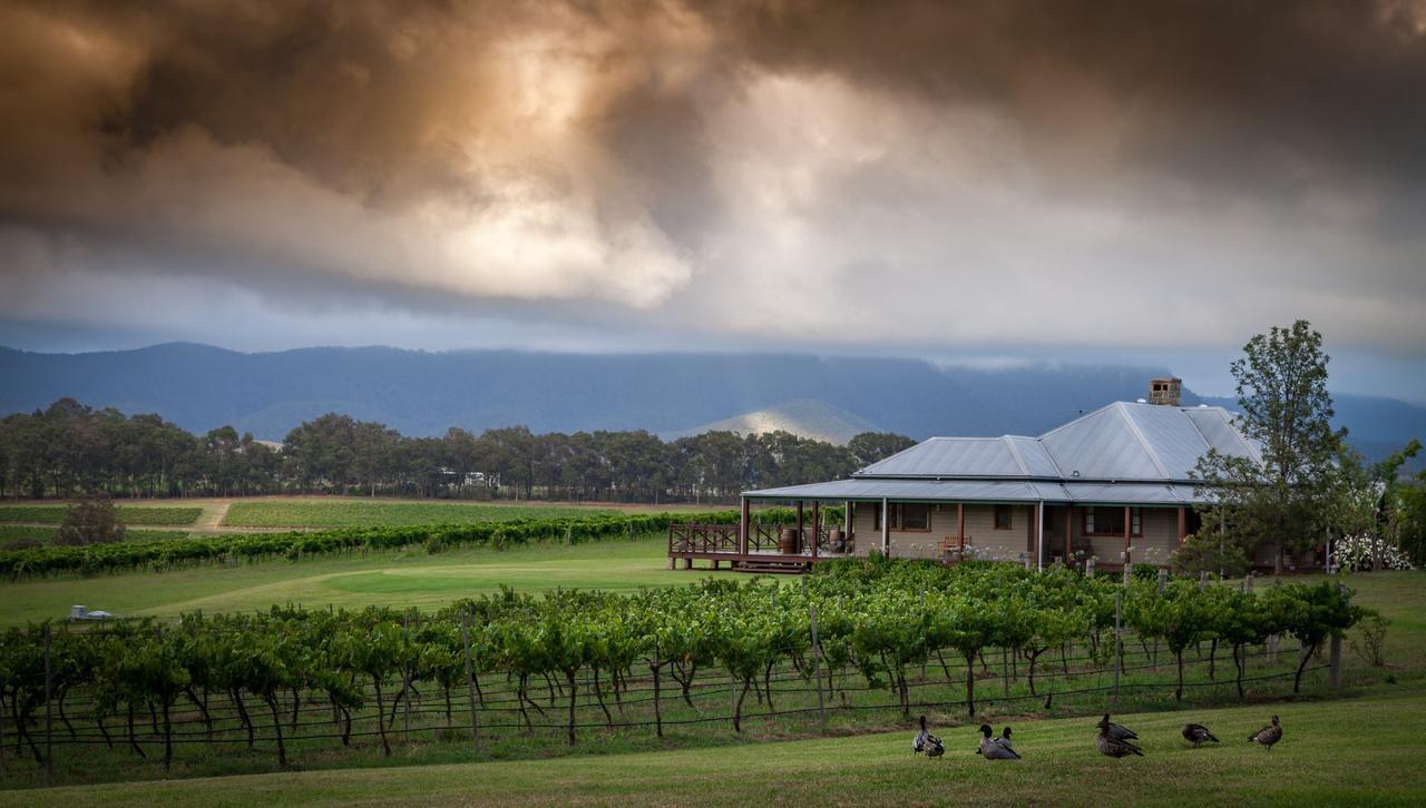 Hanging Tree Wines Pokolbin Exterior photo