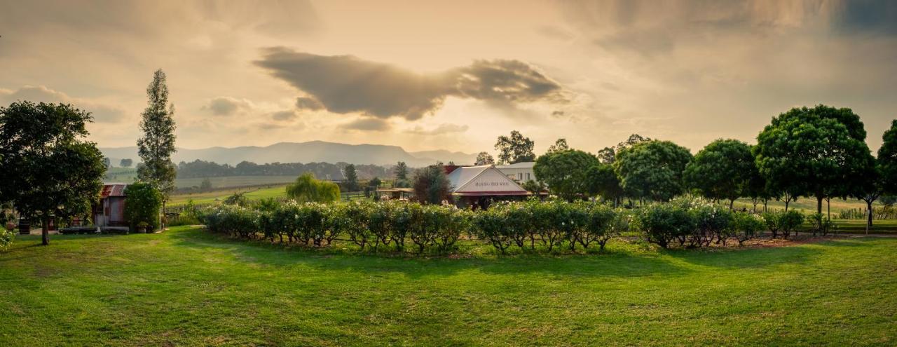 Hanging Tree Wines Pokolbin Exterior photo