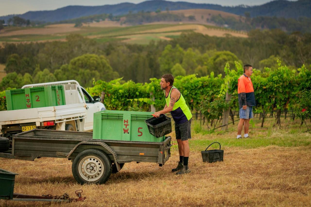 Hanging Tree Wines Pokolbin Exterior photo